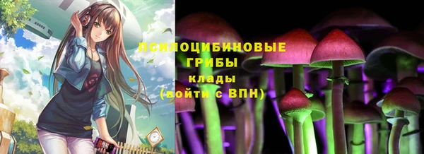 Альфа ПВП Алексин