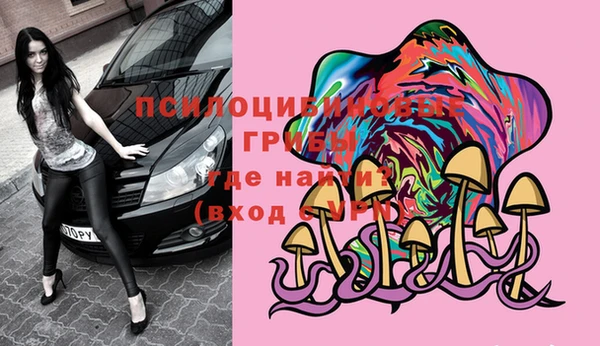 Альфа ПВП Алексин