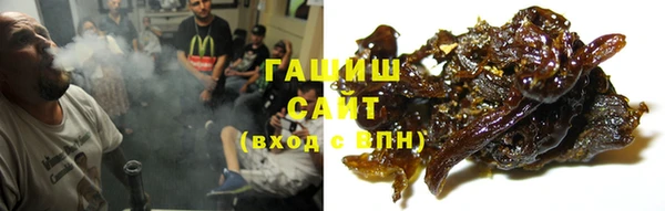 PSILOCYBIN Алзамай