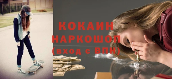 PSILOCYBIN Алзамай