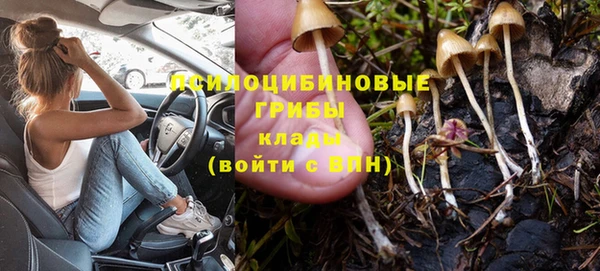 PSILOCYBIN Алзамай